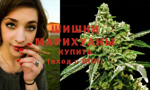 гидра Белоозёрский