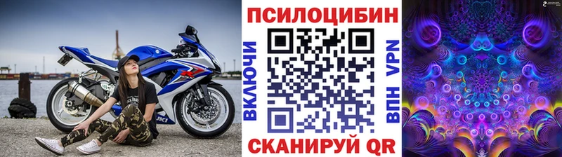 Галлюциногенные грибы Magic Shrooms  сколько стоит  Зверево 